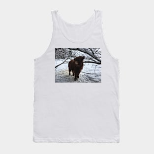 Scottish Highland Cattle Calf 1888 Tank Top